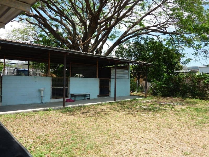 173 Stuart Drive, WULGURU QLD 4811, Wulguru - Thumbnail 4