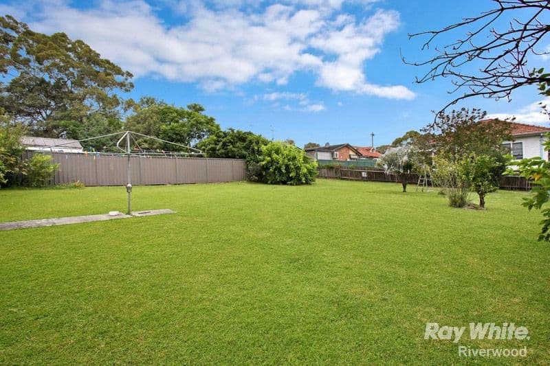 59 Cairns Street, Riverwood NSW 2210, Riverwood - Thumbnail 3