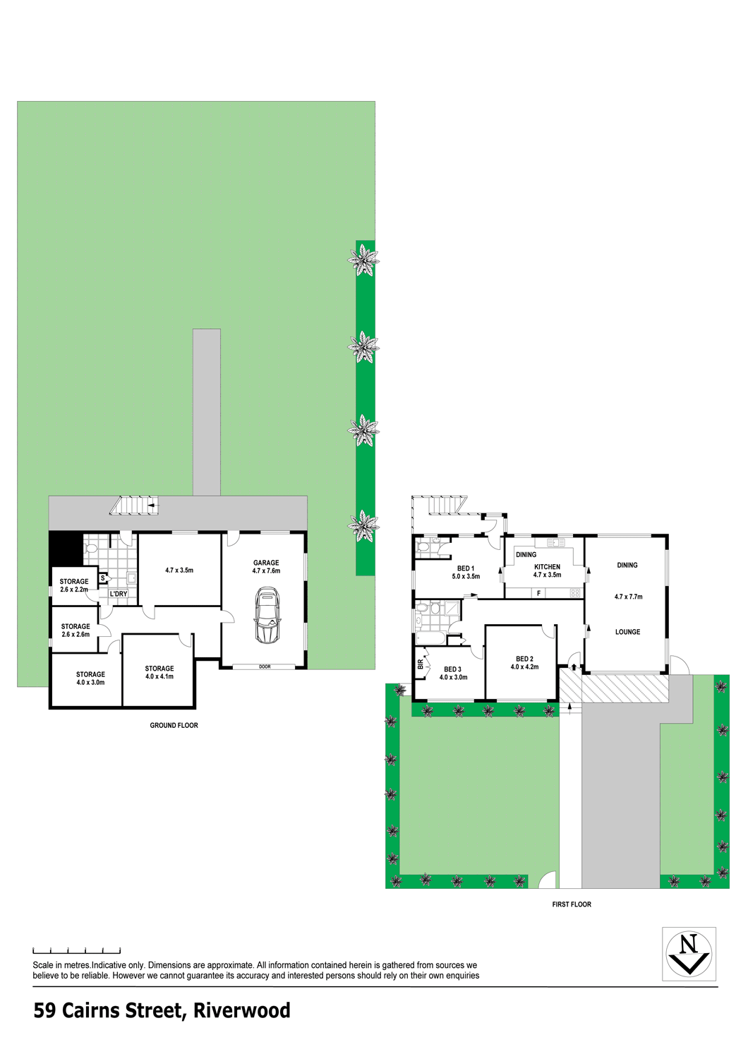 59 Cairns Street, Riverwood NSW 2210, Riverwood - Thumbnail 8