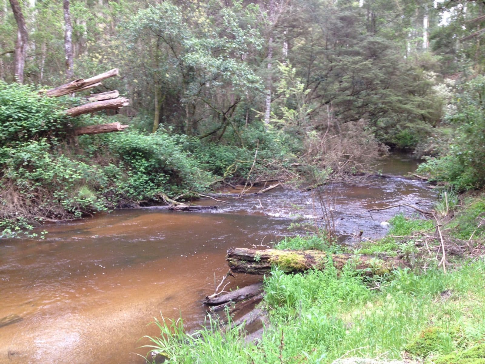 10 Goodwood Street, Noojee VIC 3833, Noojee - Thumbnail 2