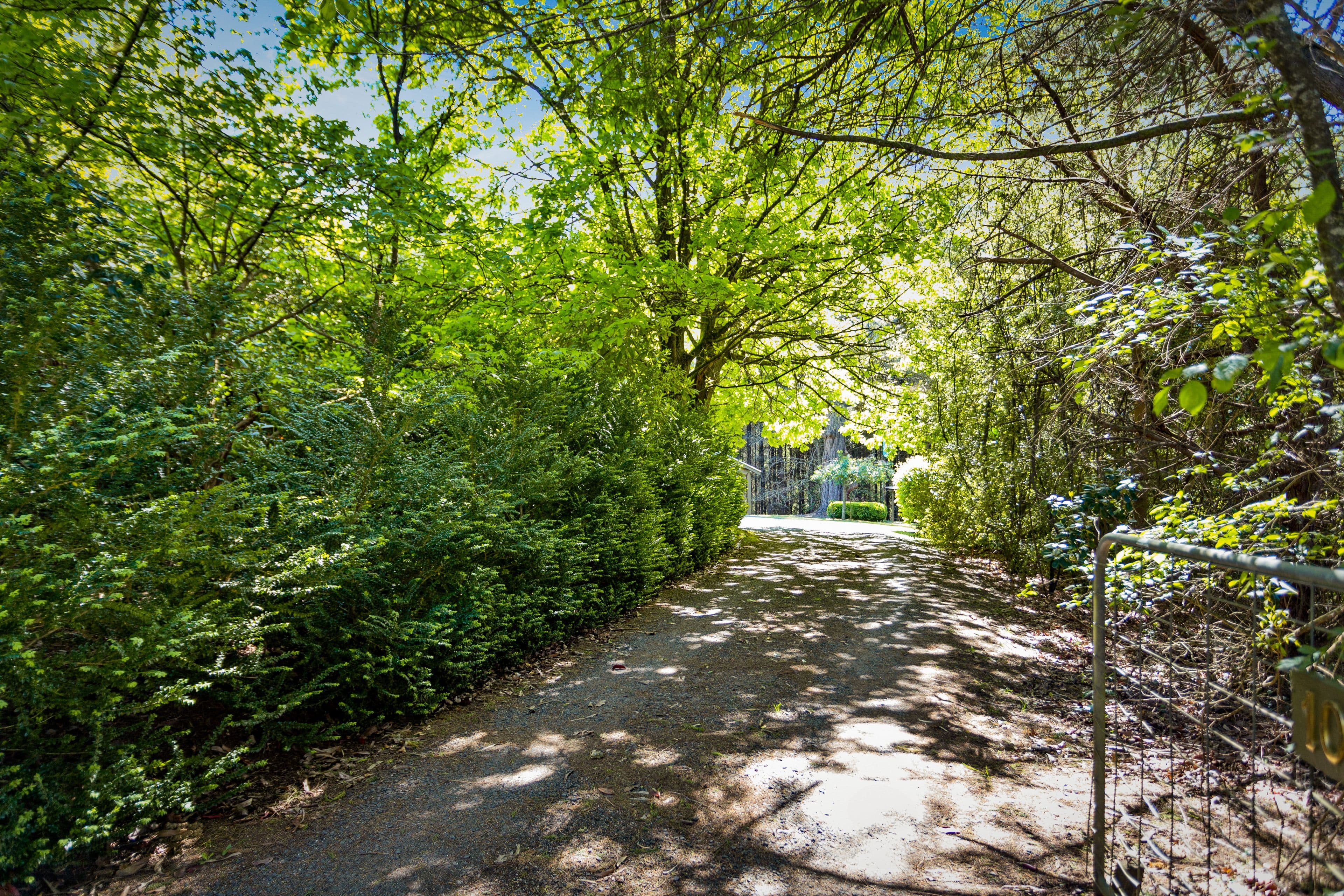 10 Goodwood Street, Noojee VIC 3833, Noojee - Thumbnail 5