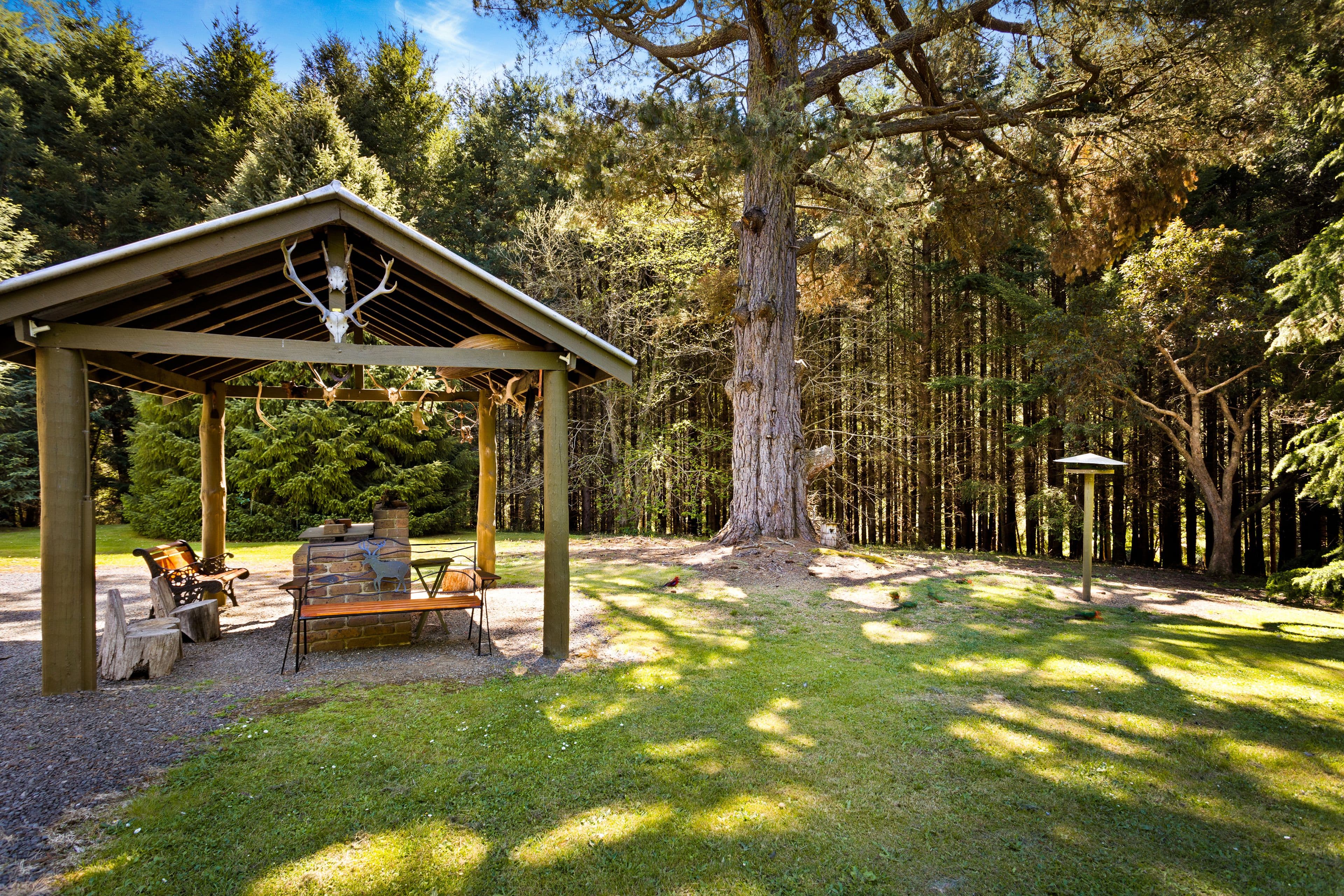 10 Goodwood Street, Noojee VIC 3833, Noojee - Thumbnail 6