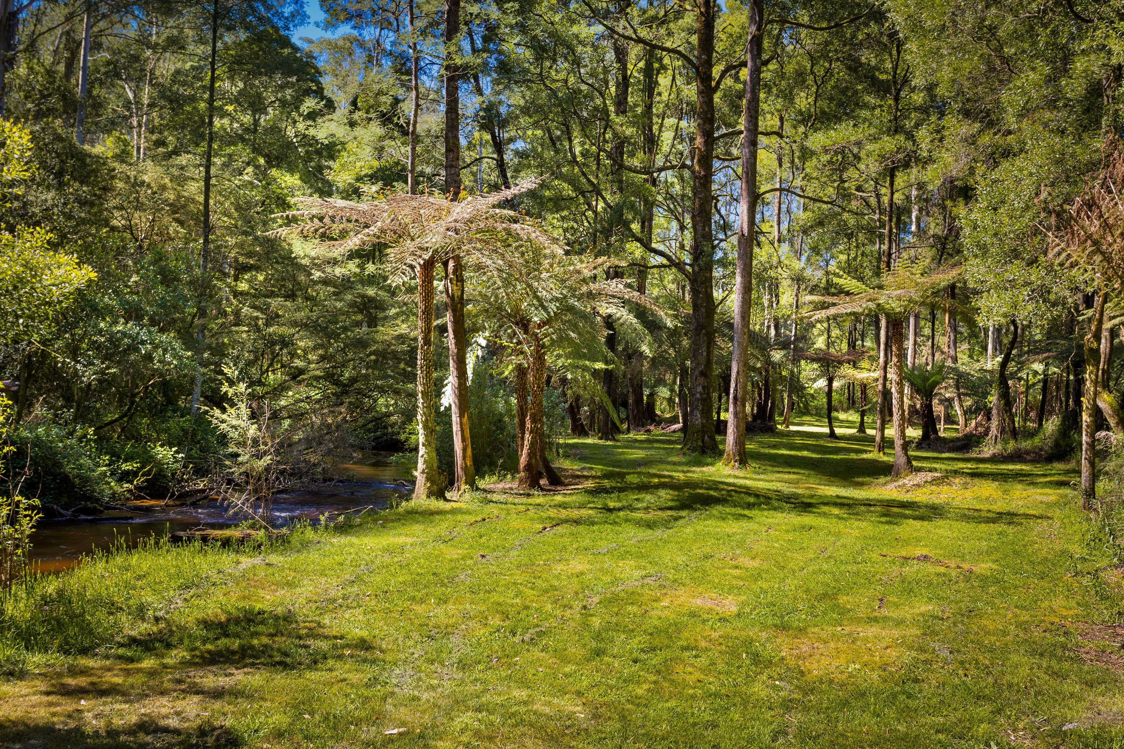 10 Goodwood Street, Noojee VIC 3833, Noojee - Thumbnail 7