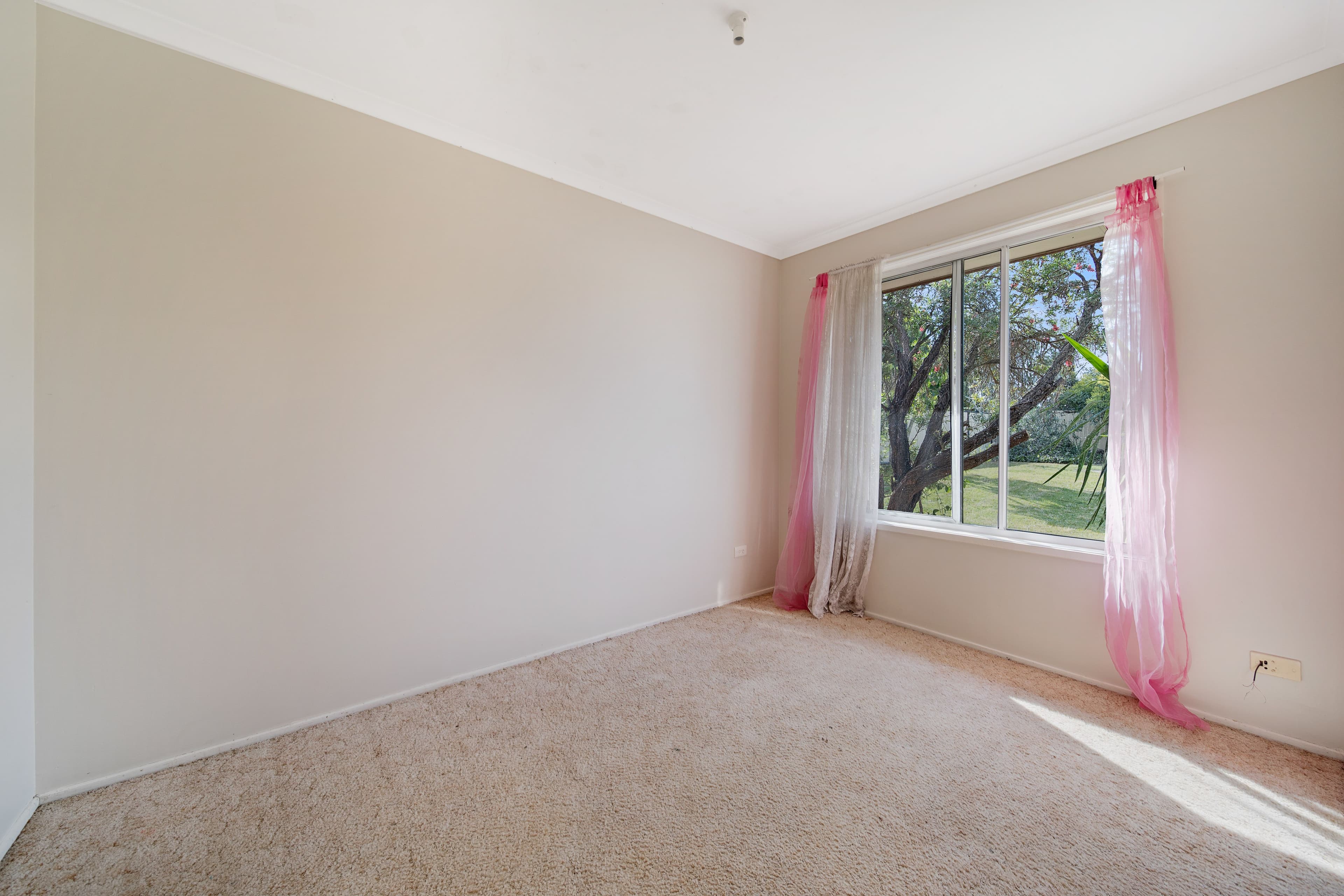 20 Ammons Street, Browns Plains QLD 4118, Browns Plains - Thumbnail 7