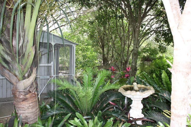 COORAN QLD 4569, Cooran - Thumbnail 8