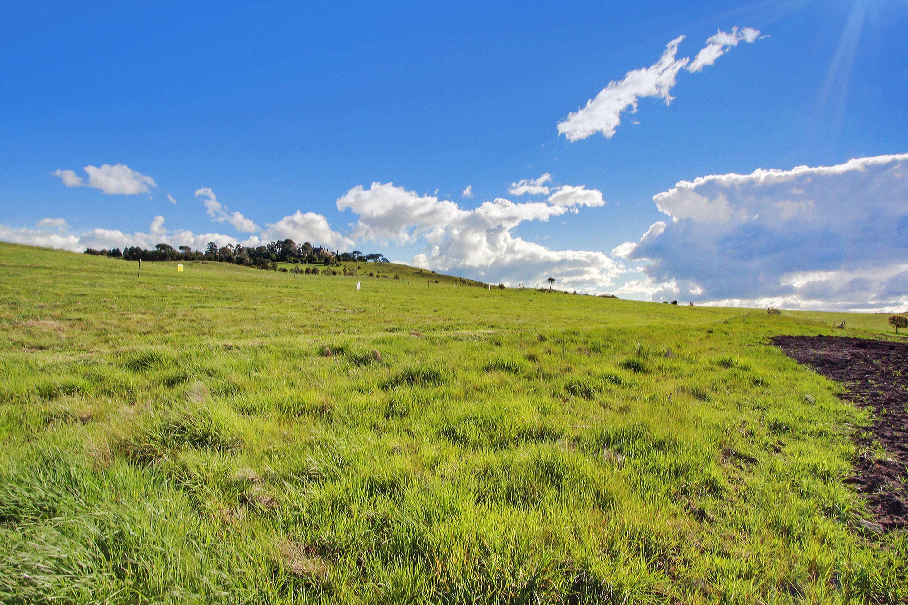 Lot 412 Ibis Road, GOULBURN NSW 2580, Goulburn - Image 1