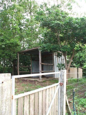 391 Mackay Habana Road, HABANA QLD 4740, Habana - Thumbnail 4
