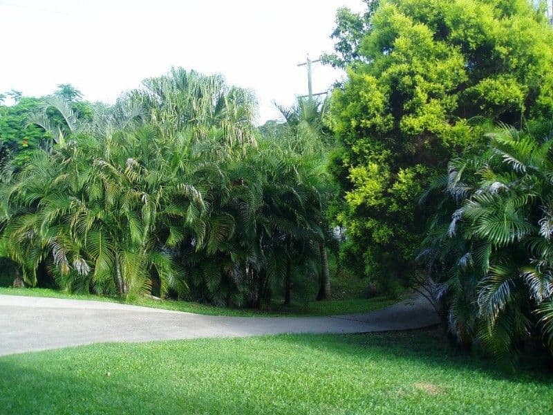 391 Mackay Habana Road, HABANA QLD 4740, Habana - Thumbnail 6