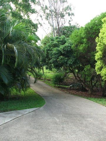 391 Mackay Habana Road, HABANA QLD 4740, Habana - Thumbnail 7