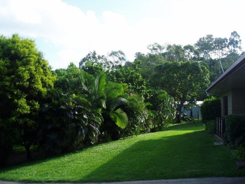391 Mackay Habana Road, HABANA QLD 4740, Habana - Thumbnail 8