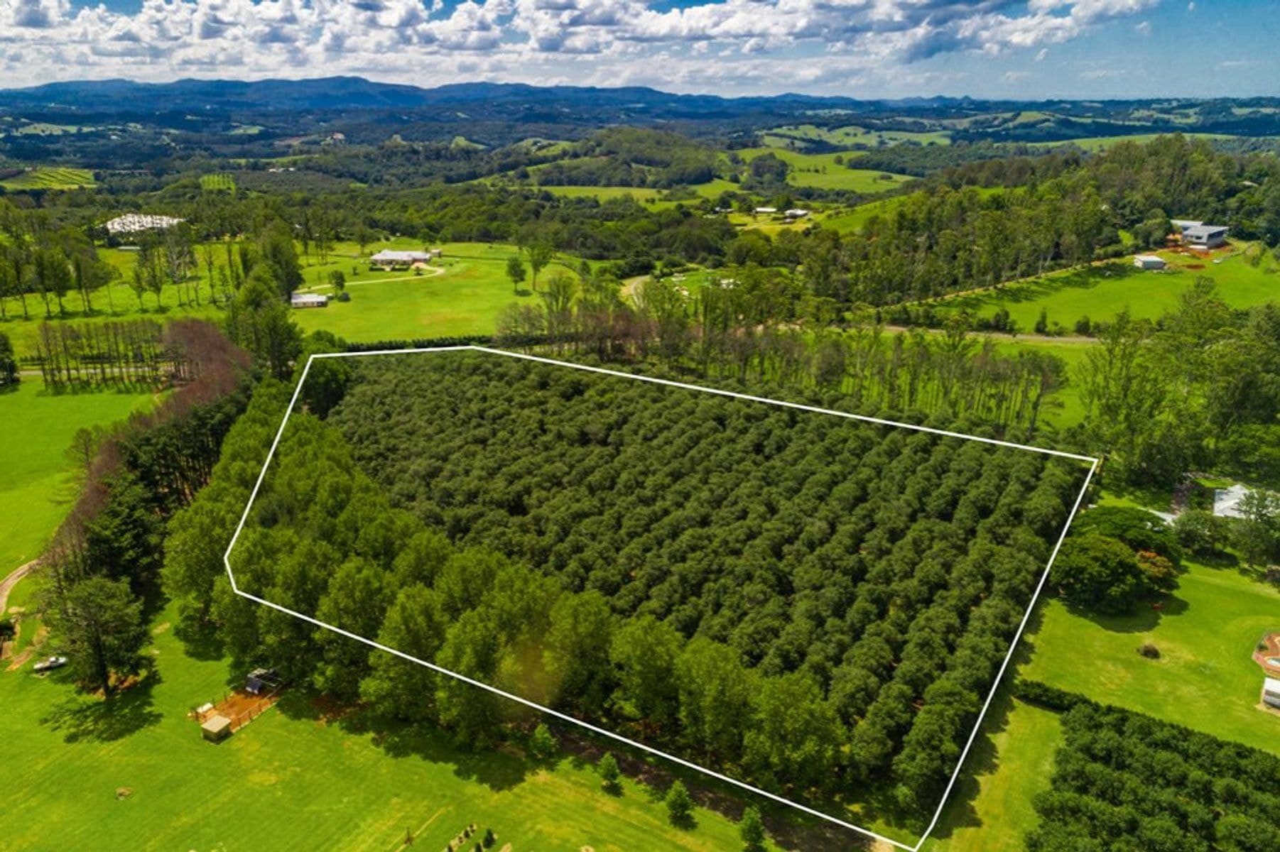828 Fernleigh Road, Brooklet - Thumbnail 5