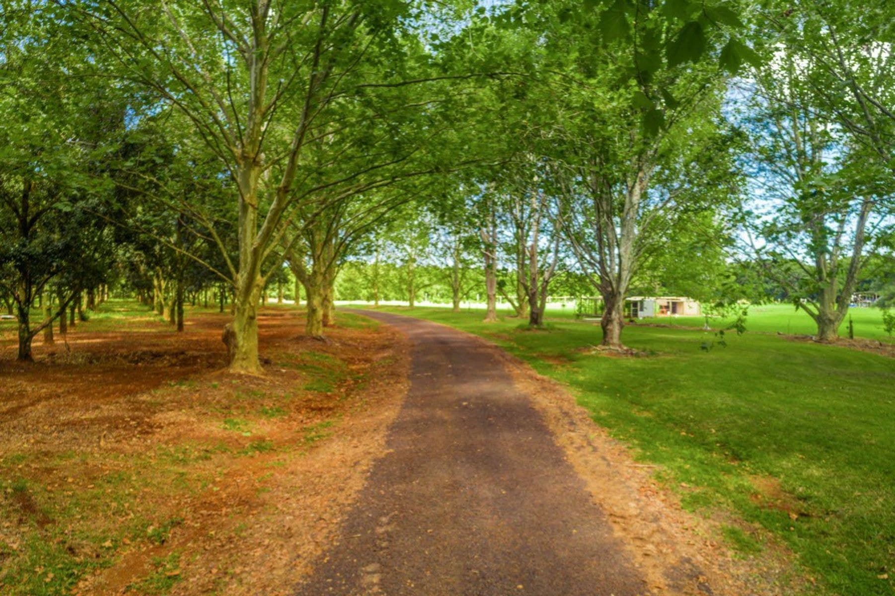 828 Fernleigh Road, Brooklet - Thumbnail 7