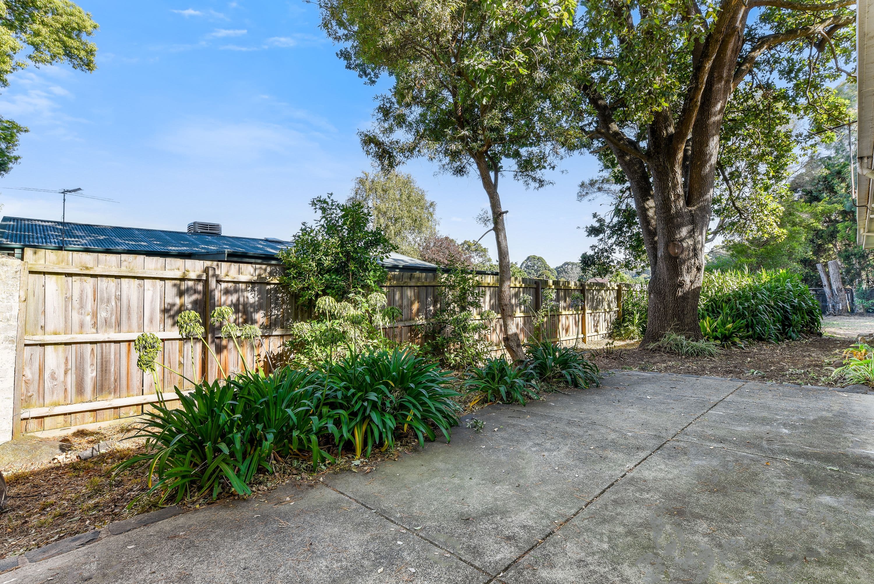 73 Stewart Street, Boronia VIC 3155, Boronia - Thumbnail 3