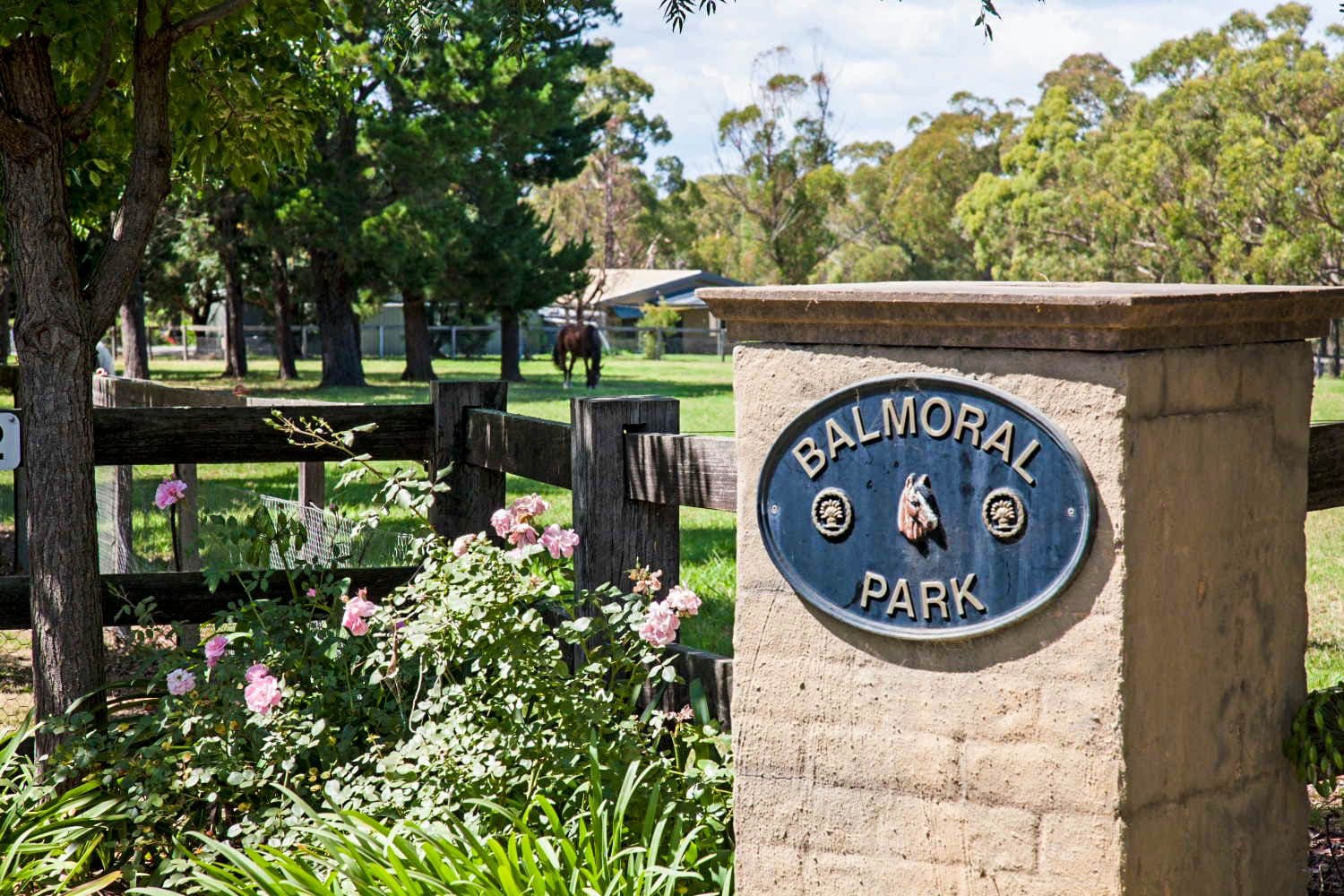 Buxton NSW 2571, Buxton - Thumbnail 3