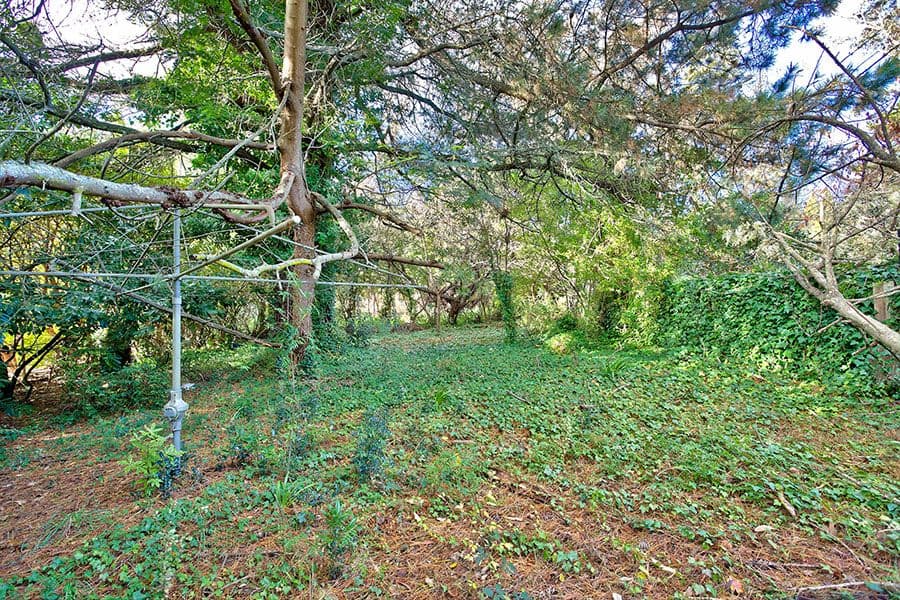8 Eumemmering Street, Medlow Bath - Thumbnail 2