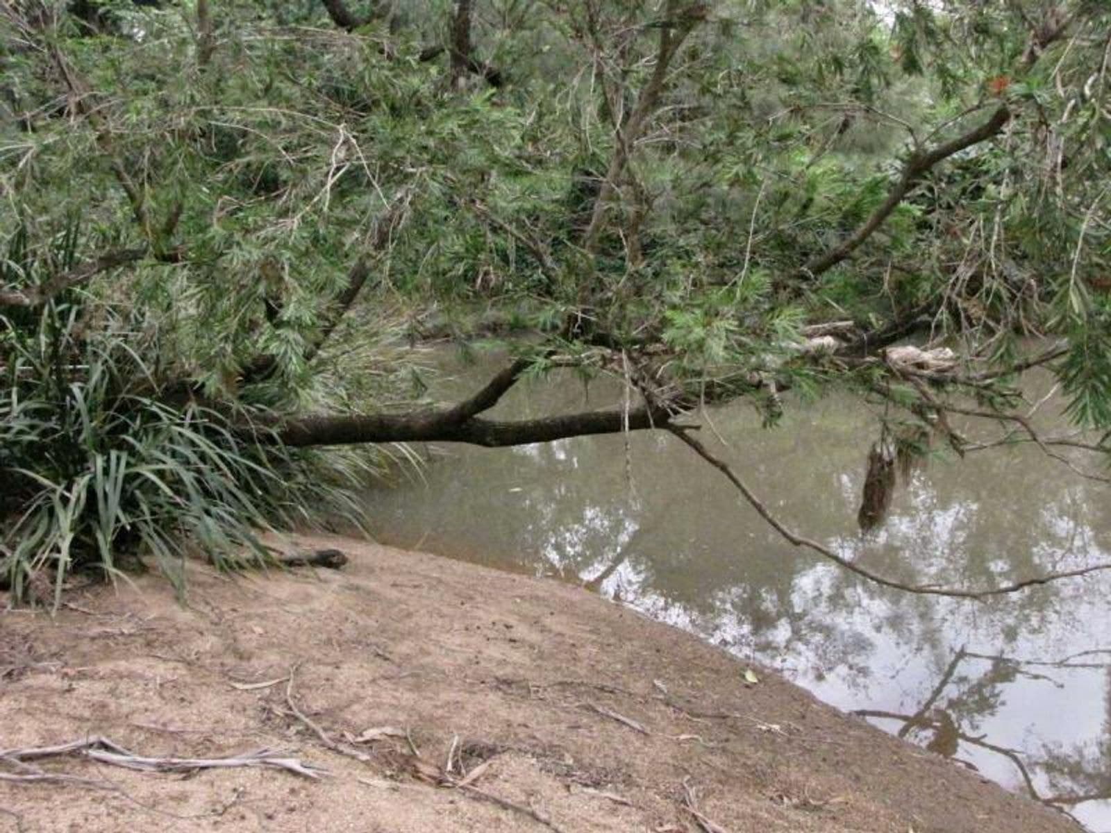 1838 Plainstation Rd, Tabulam, NSW 2469, Tabulam - Thumbnail 4