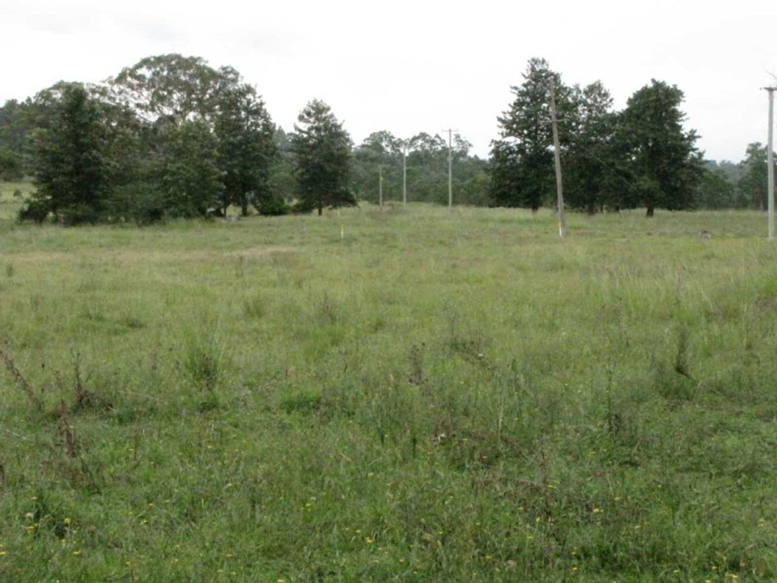 1838 Plainstation Rd, Tabulam, NSW 2469, Tabulam - Thumbnail 5