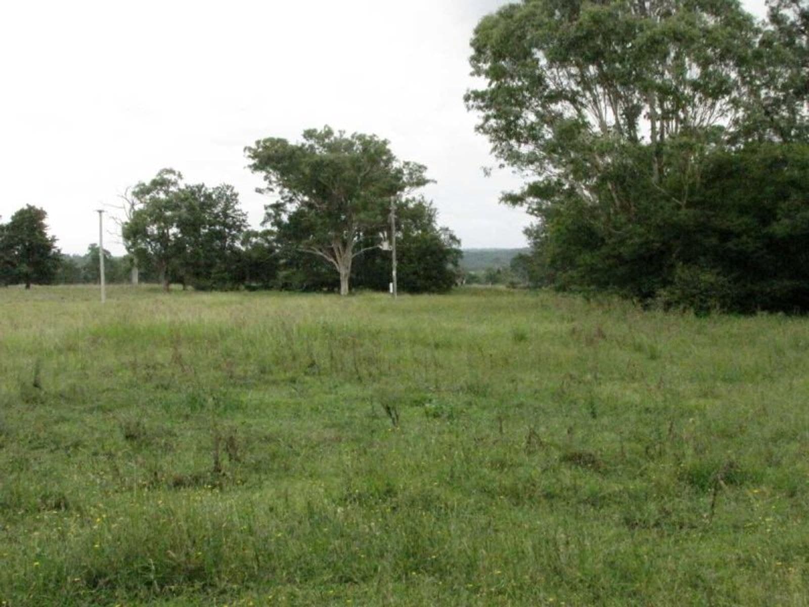 1838 Plainstation Rd, Tabulam, NSW 2469, Tabulam - Thumbnail 6