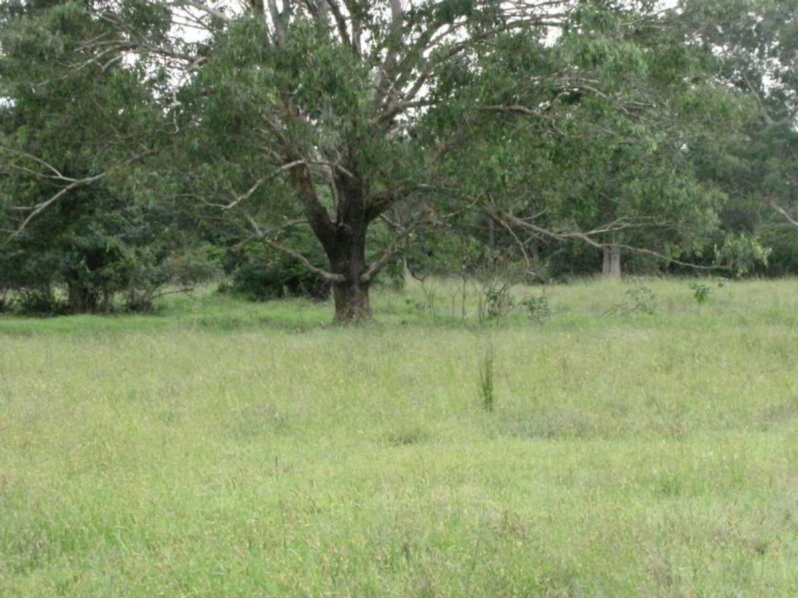 1838 Plainstation Rd, Tabulam, NSW 2469, Tabulam - Thumbnail 7