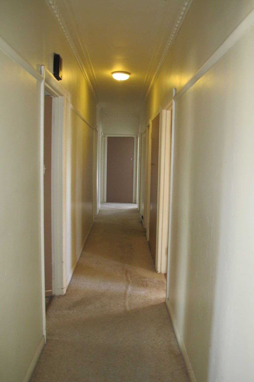 61 Coleraine Road, Hamilton VIC 3300, Hamilton - Thumbnail 8