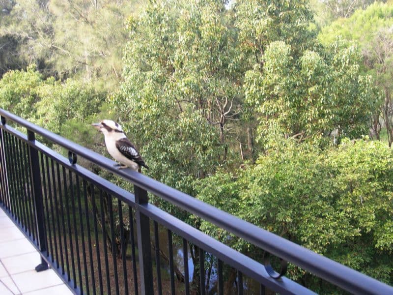 2 Adcock Avenue, WEST GOSFORD NSW 2250, West Gosford - Thumbnail 5