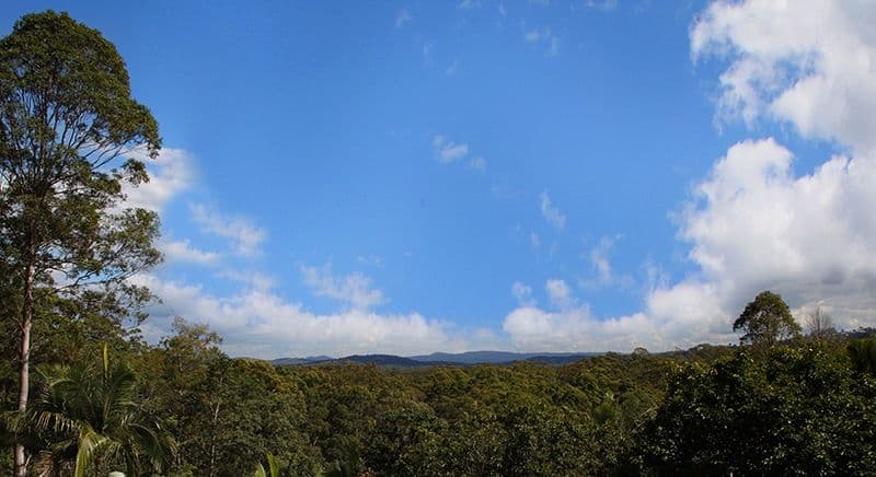 40 Lauren Drive, BUDERIM QLD 4556, Buderim - Thumbnail 2