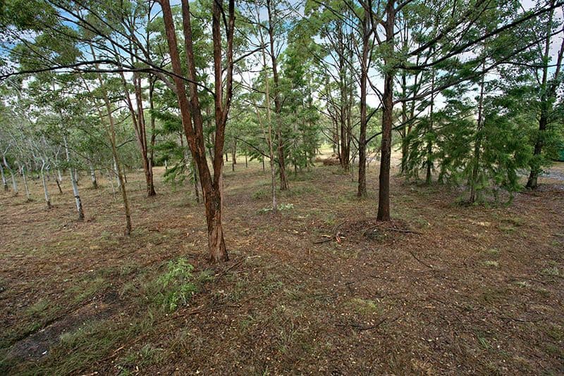 116 Bumstead Road, PARK RIDGE QLD 4125, Park Ridge - Thumbnail 8
