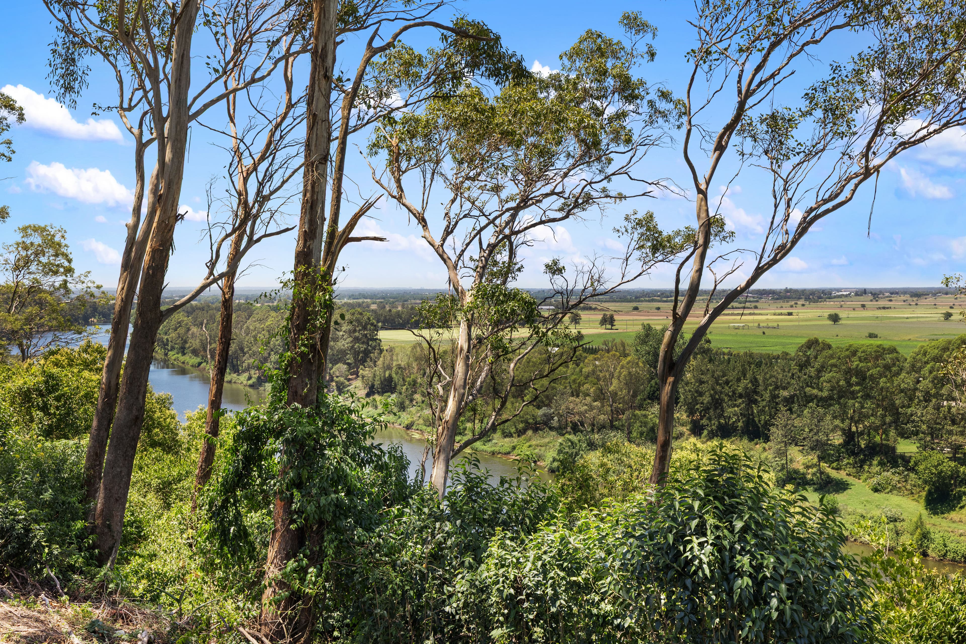456 Terrace Road, FREEMANS REACH, Freemans Reach - Thumbnail 6