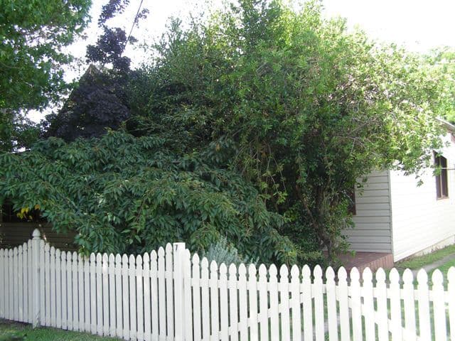 7 Coronation Drive, ORANGE NSW 2800, Orange - Thumbnail 2