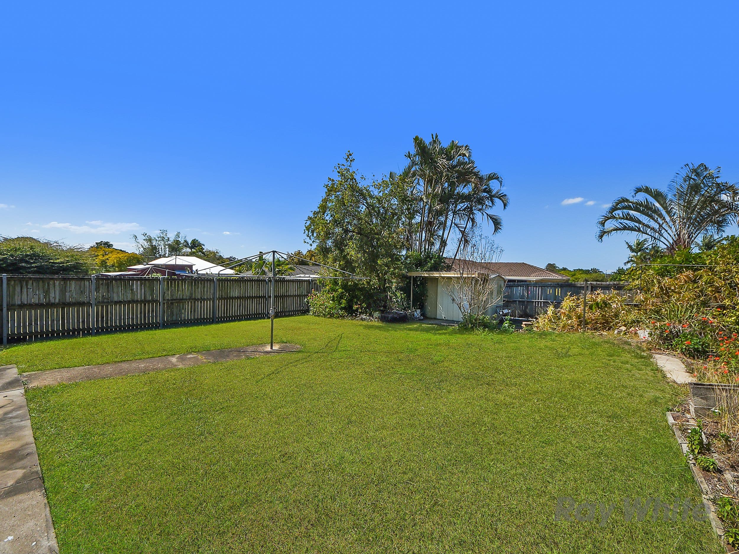 19 Geraint Street, Bracken Ridge QLD 4017, Bracken Ridge - Thumbnail 4
