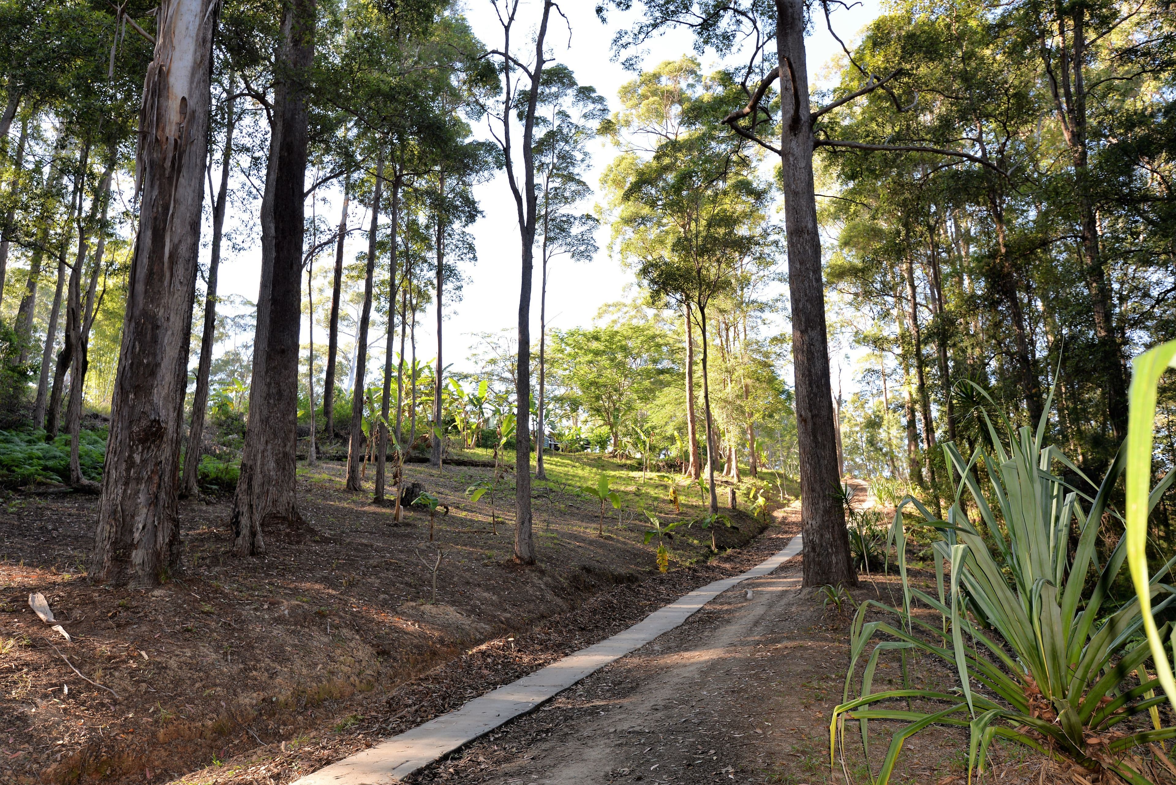15 Pryor Road, Verrierdale QLD 4562, Verrierdale - Thumbnail 4