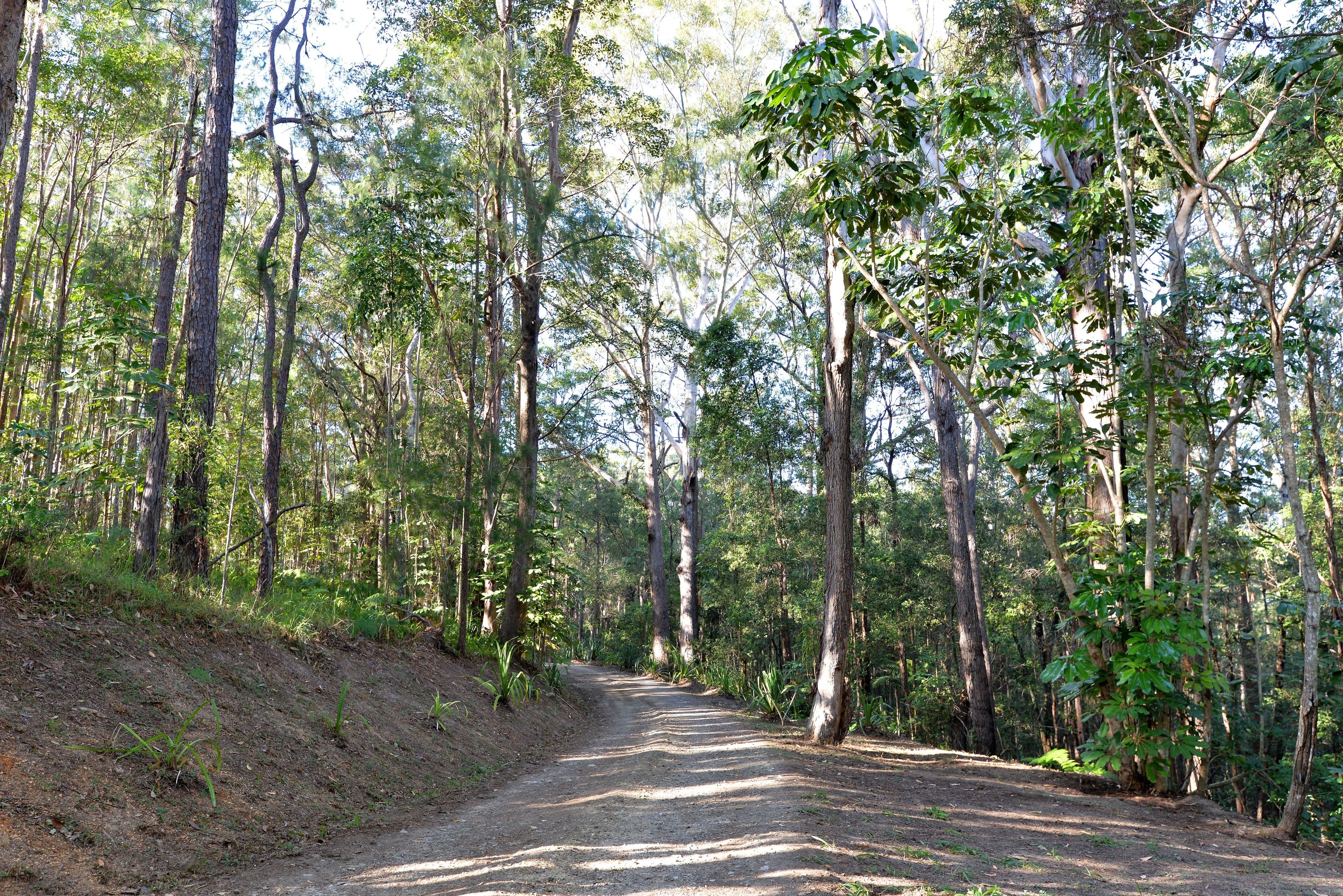 15 Pryor Road, Verrierdale QLD 4562, Verrierdale - Thumbnail 5