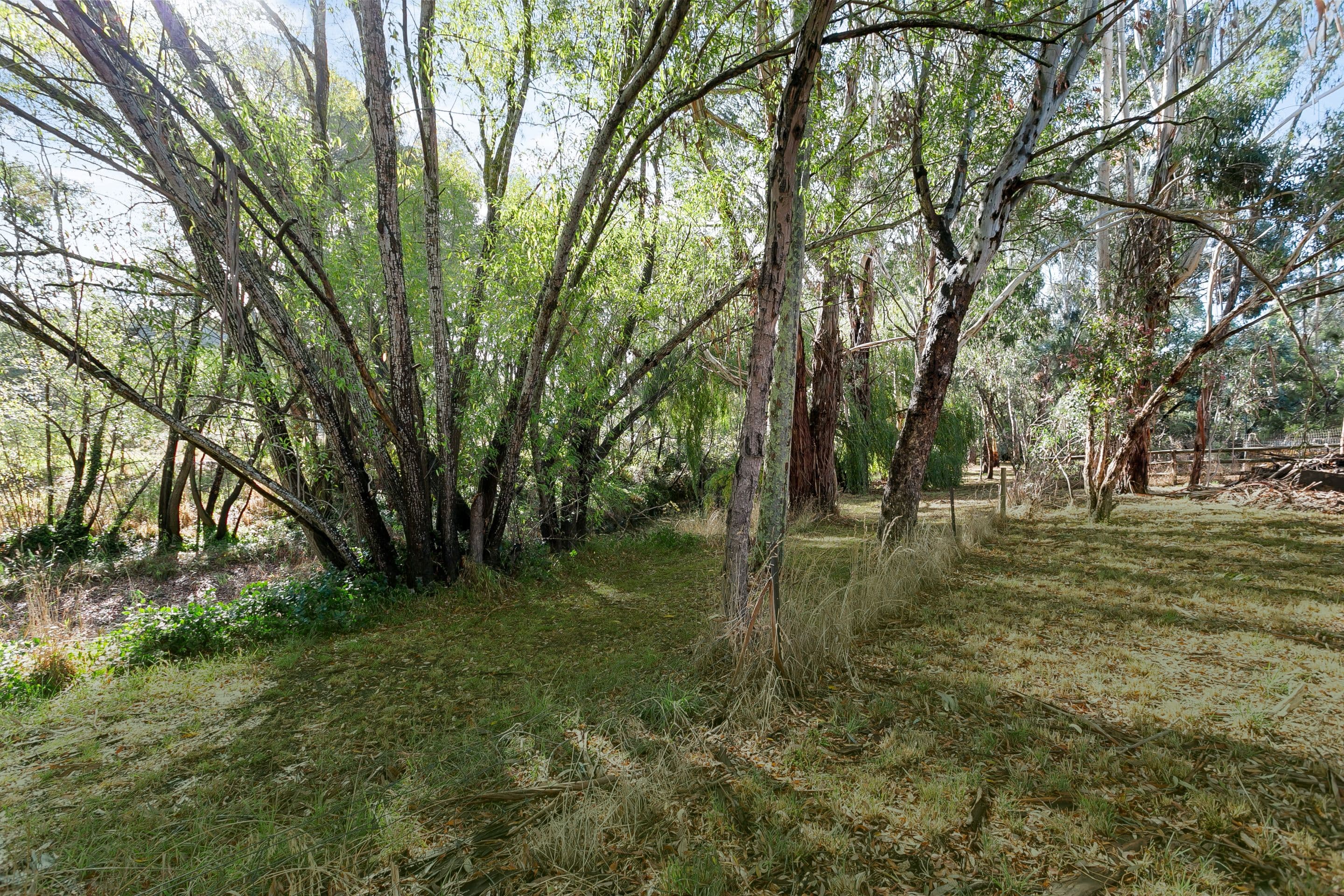 10 Church Street, Balhannah SA 5242, Balhannah - Thumbnail 4