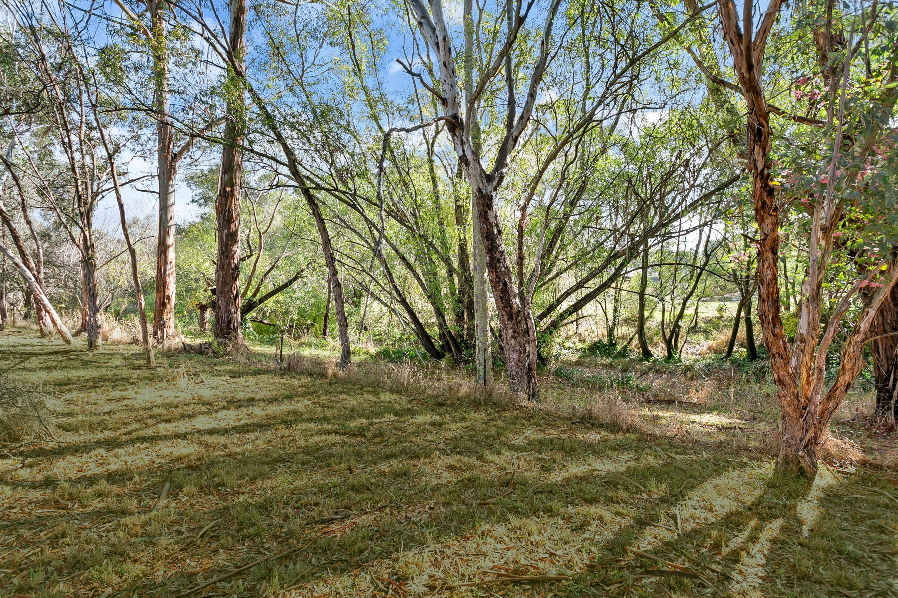 10 Church Street, Balhannah SA 5242, Balhannah - Thumbnail 5
