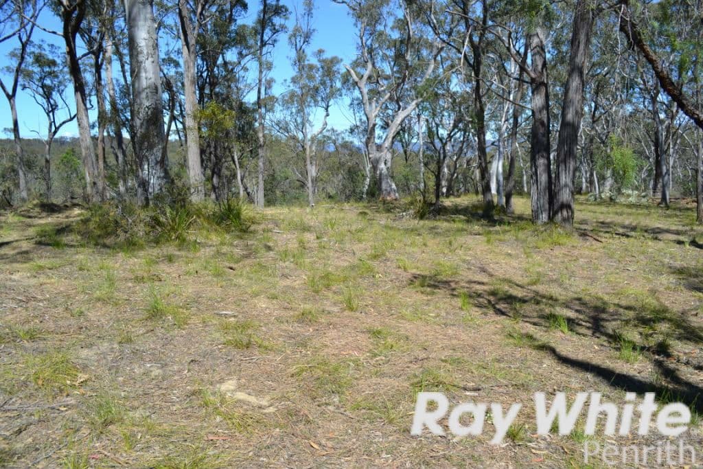 166 Five Mile Creek Road, Megalong NSW 2785, Megalong Valley - Thumbnail 2