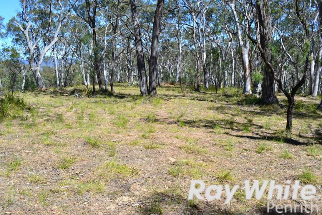 166 Five Mile Creek Road, Megalong NSW 2785, Megalong Valley - Thumbnail 4