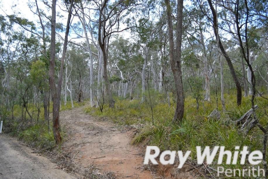 166 Five Mile Creek Road, Megalong NSW 2785, Megalong Valley - Thumbnail 5