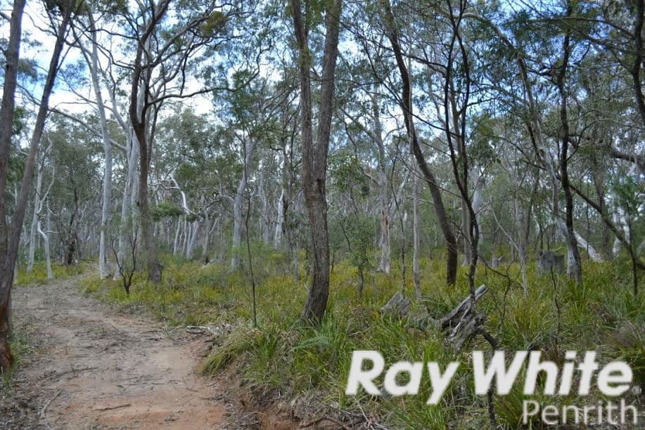 166 Five Mile Creek Road, Megalong NSW 2785, Megalong Valley - Thumbnail 7