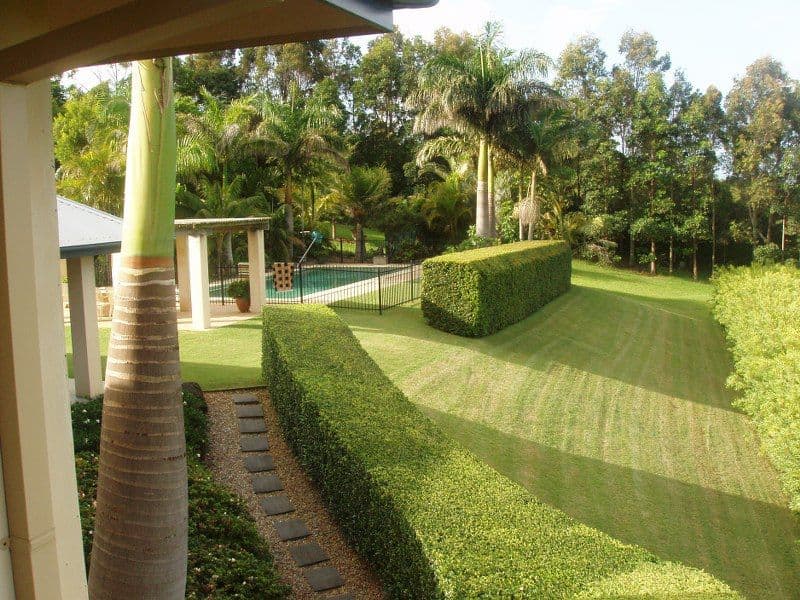 231  Coopers Shoot Road, BYRON BAY NSW 2481, Byron Bay - Thumbnail 5