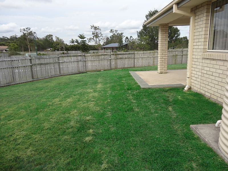 2 Radiata Court, Morayfield QLD 4506, Morayfield - Thumbnail 8