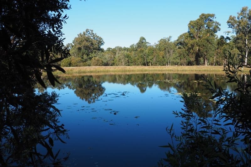 0 Yangoora Avenue, Tinana QLD 4650, Tinana - Thumbnail 5