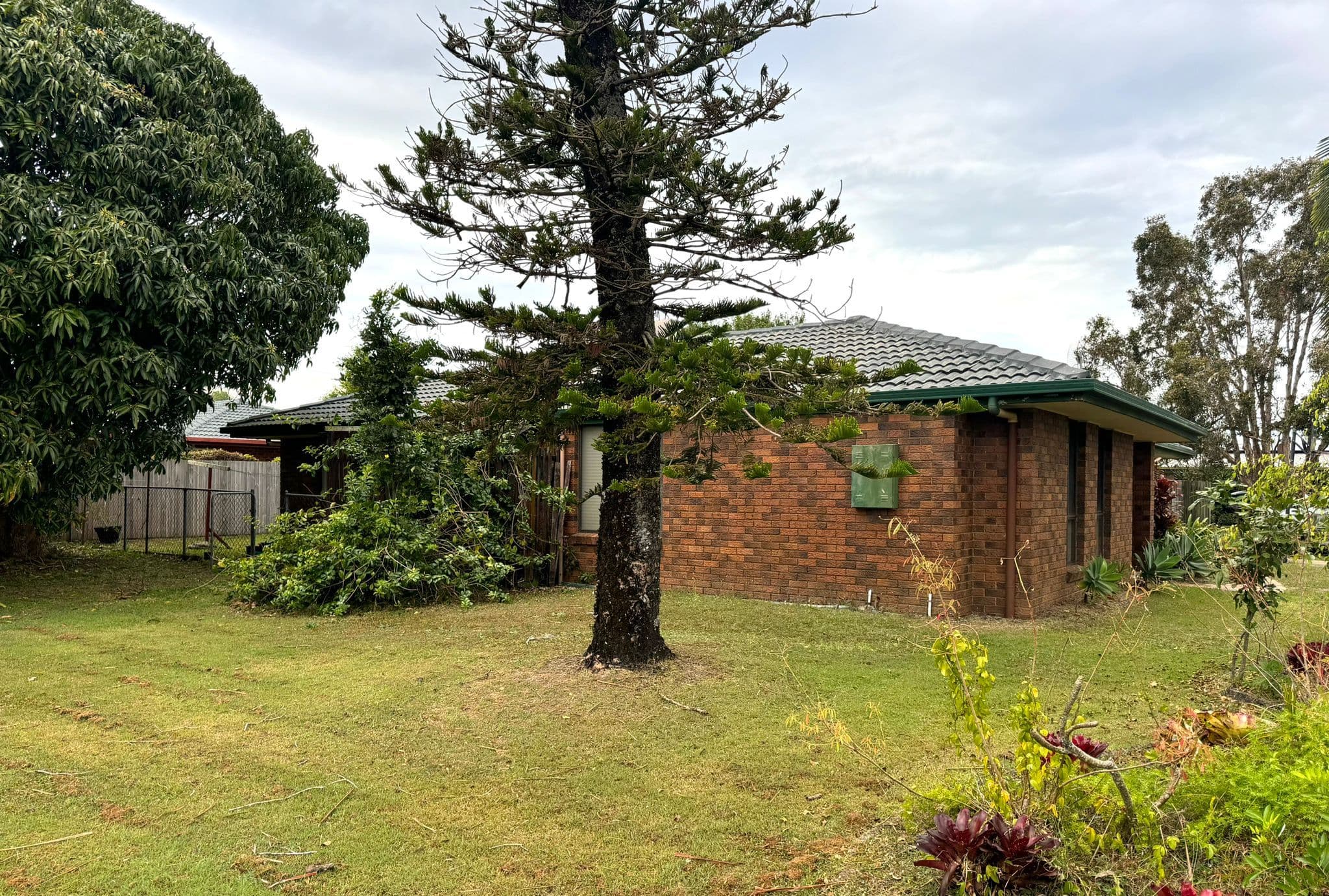 1 Ibis Court, Parrearra QLD 4575, Parrearra - Thumbnail 4