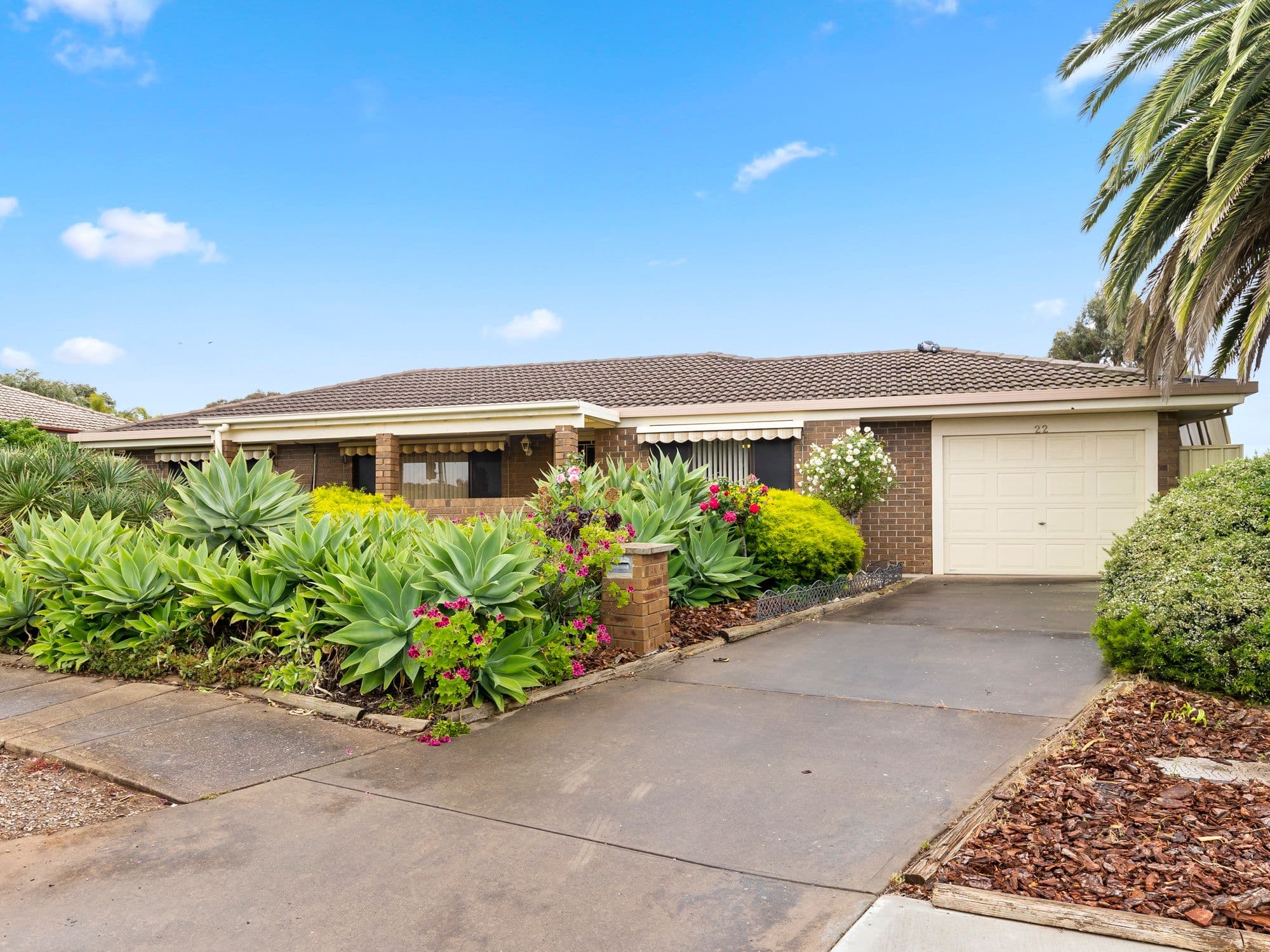 22 Ormiston Road, Morphett Vale SA 5162, Morphett Vale - Image 1