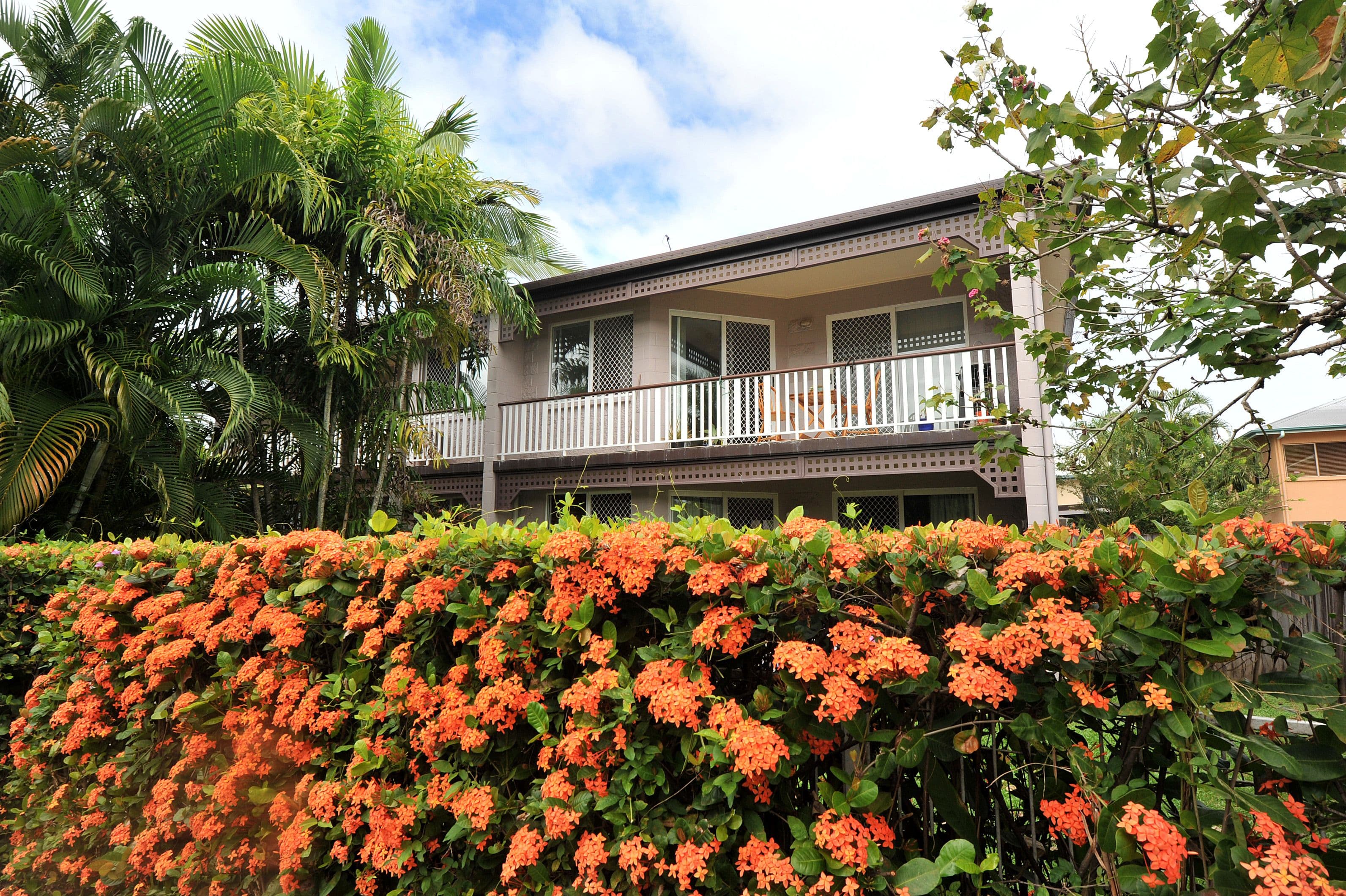 23 Springfield Crescent, Manoora QLD 4870, Manoora - Thumbnail 3