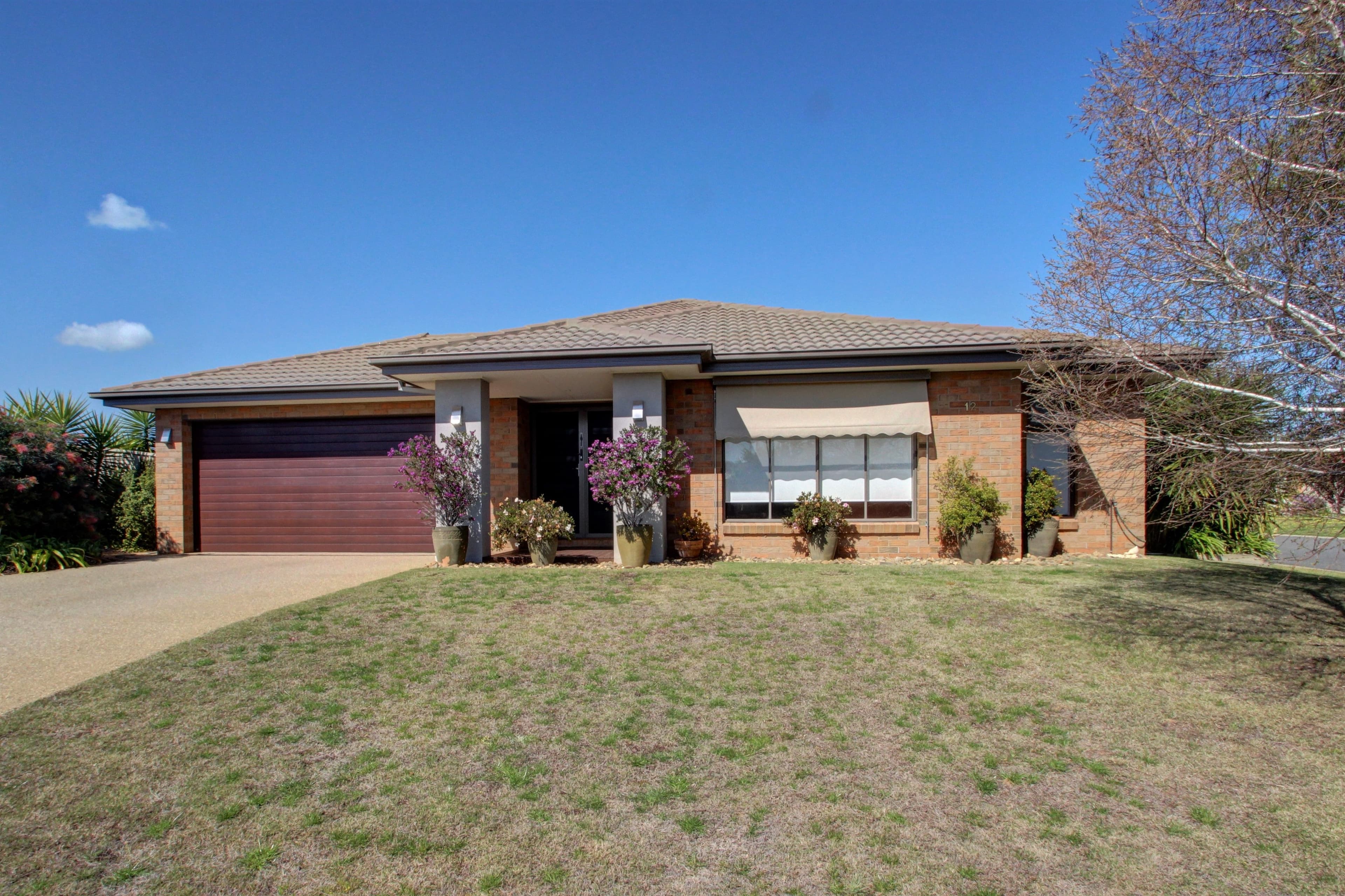 12 Victoria Avenue, Barooga NSW 3644, Barooga - Thumbnail 2