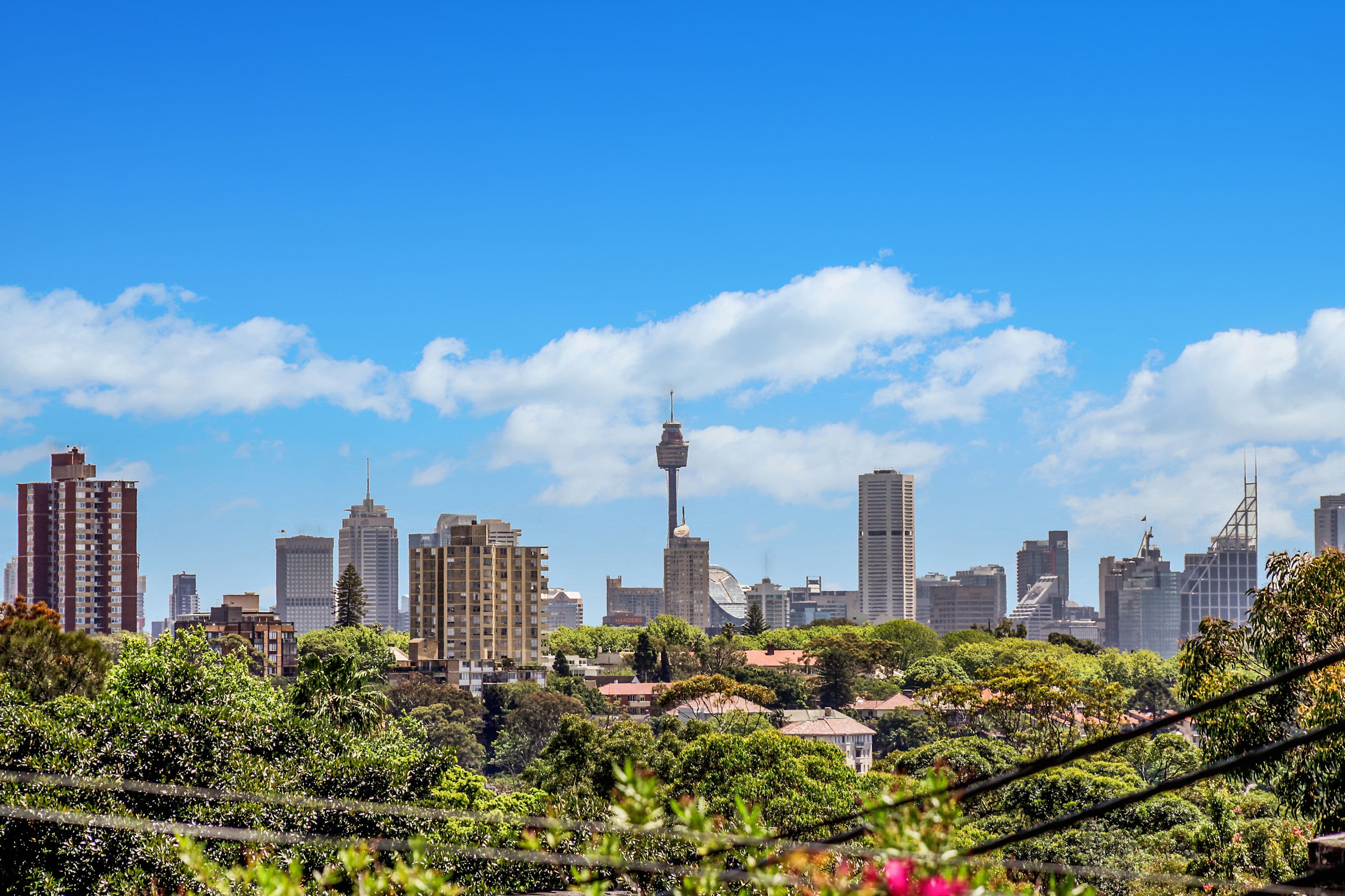 34 Fletcher Street, Woollahra - Thumbnail 5