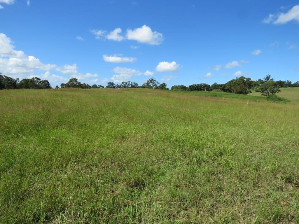 Lot 404 Lomandra Avenue, Caniaba NSW 2480, Caniaba - Thumbnail 3