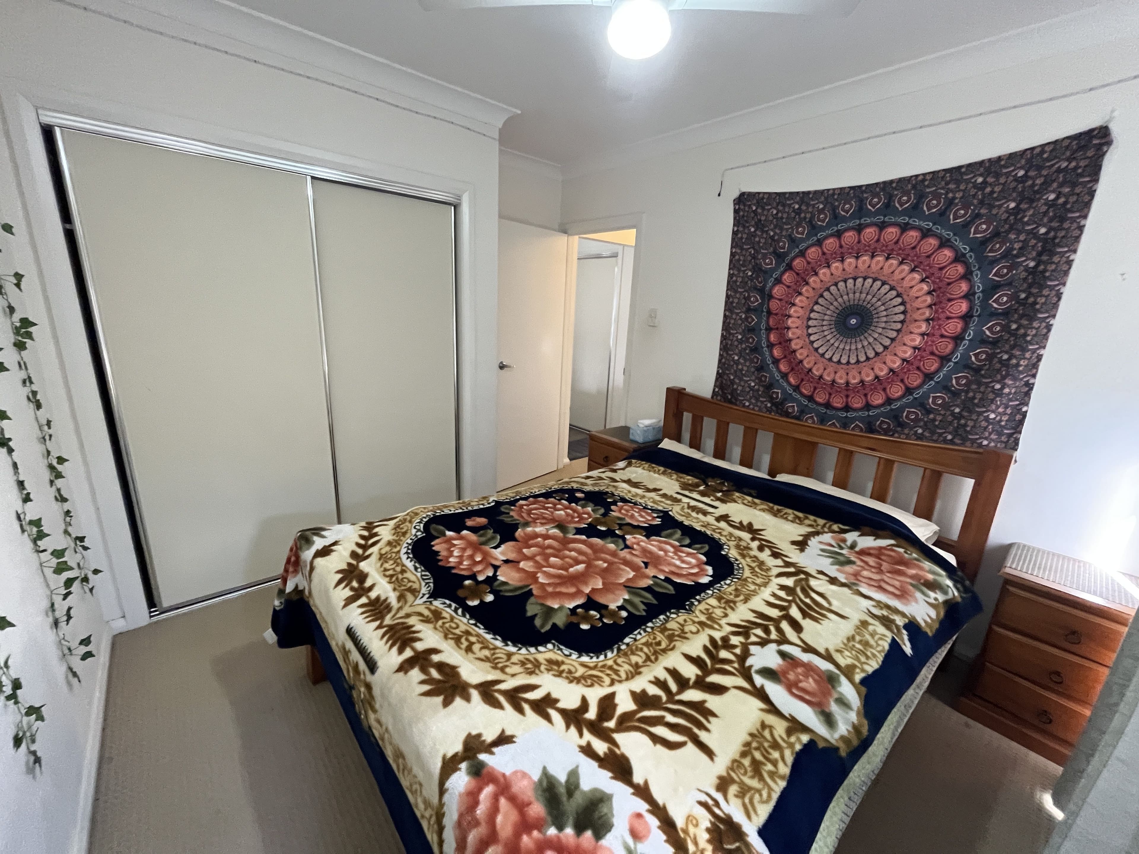 35 Franco Drive, Griffith NSW 2680, Griffith - Thumbnail 7