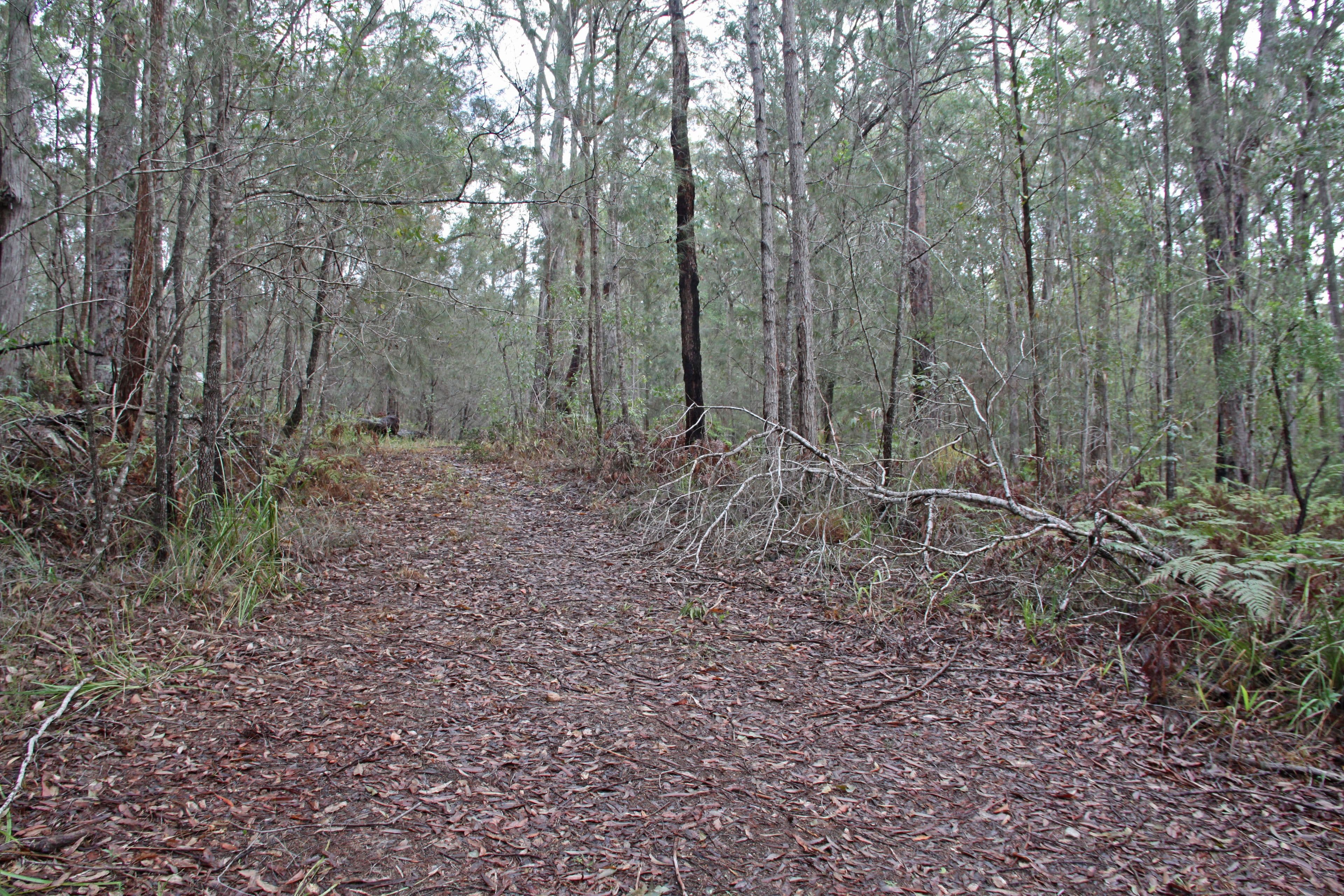 Lot 45 Possum Way, Kew NSW 2439, Kew - Thumbnail 5