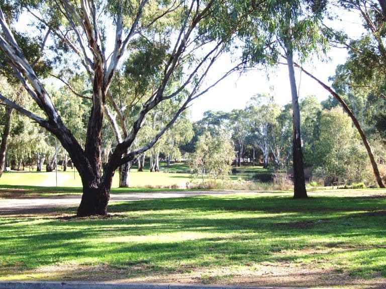 7 Hissar Avenue, SALISBURY NORTH SA 5108, Salisbury North - Thumbnail 2